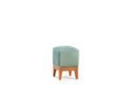 چهار پایه کارنromohome