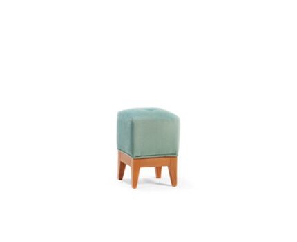 چهار پایه کارنromohome