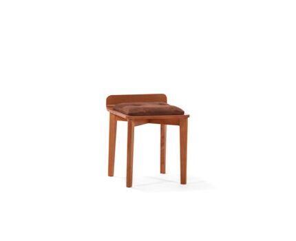 چهار پایه شایاromohome