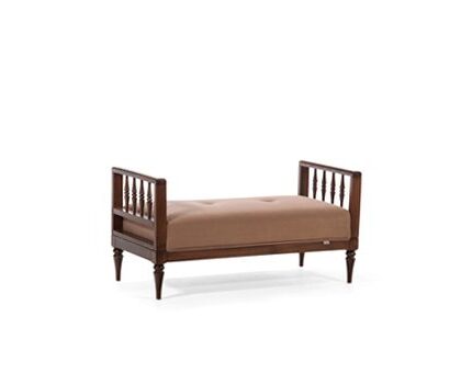 نیمکت آنتیکromohome