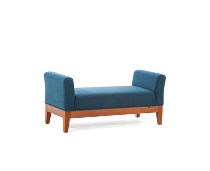 نیمکت وینیromohome