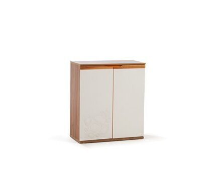 جاکفشی لیدیاromo home