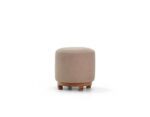 چهار پایه لاینromohome