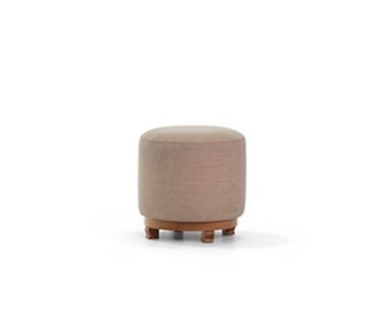 چهار پایه لاینromohome