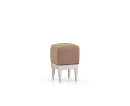 چهار پایه آنتیکromohome