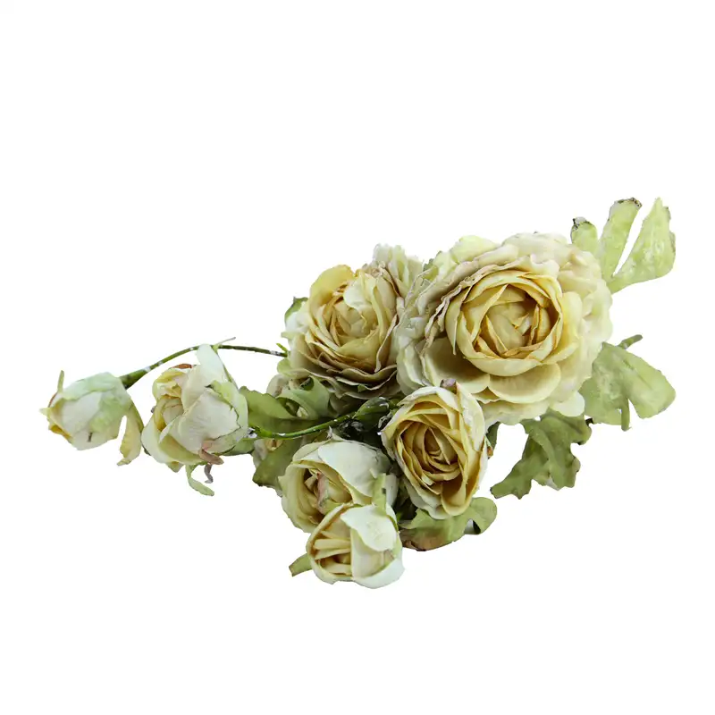 گل رز نباتی کد 10690